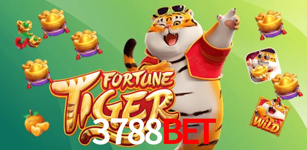 Football Betting 3788bet